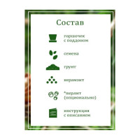 Набор для выращивания растений Вырасти,Дерево! Лиственница сибирская zk-049