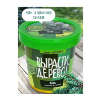 Набор для выращивания растений Вырасти,Дерево! Ель колючая сизая zk-004