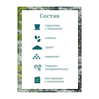 Набор для выращивания растений Вырасти,Дерево! Ель колючая сизая zk-004