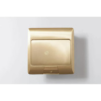 Люк на 2 поста SPL 45x45, латунь, с металлической коробкой, IP44 300003