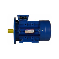 Электродвигатель 5АИ 100 L2Ж 5.5/3000 IM 2081 01.01.216693