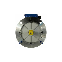 Электродвигатель 5АИ 100 L2Ж 5.5/3000 IM 2081 01.01.216693