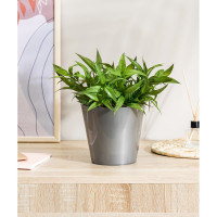 Горшок для орхидей Idiland D 160 мм, 1.6 л, с дренажной вставкой, серый перламутр 221608135/02