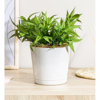 Горшок для цветов Idiland Oregano D 160 мм, 2 л, с прикорневым поливом, мраморный 221602433/01