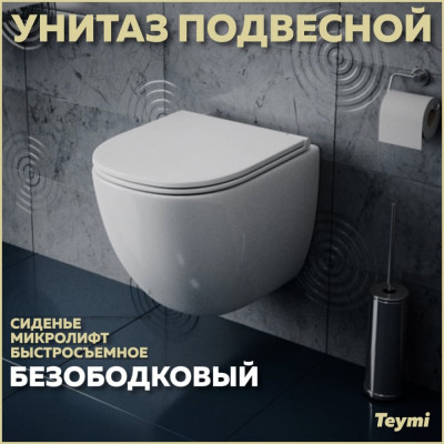 Безободковый подвесной унитаз Teymi Lina S T40102 ЦБ-00260333