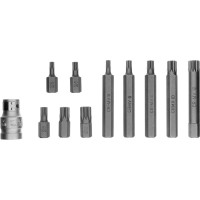 Набор бит SPLINE (11 предметов; 10 мм; 1/2''; CrV) STELS 11312