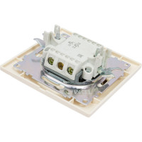 Двухклавишный выключатель TDM с подсветкой, слоновая кость Лама SQ1815-0105