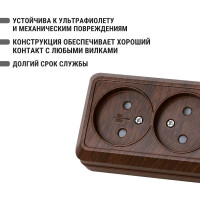 Розетка TDM ELECTRIC двойная 2П открытой установки с защитными шторками IP20 10А, бук, серия "Ладога" SQ1801-0039