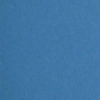 Подвесные папки BRAUBERG А4/Foolscap 406x245 мм, до 80 листов, комплект 10 шт., синие, картон Италия 231793
