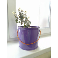 Кашпо с кронштейном НАЙДИ фиолетовое GKK4005