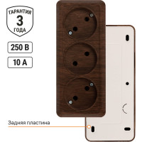 3-х местная горизонтальная розетка TDM ELECTRIC 2П открытой установки IP20 10A бук "Ладога" SQ1801-0324