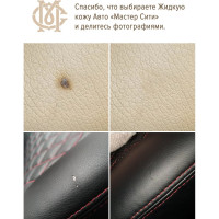 Жидкая кожа Мастер Сити Авто, Белый 4101101