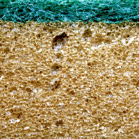 Губка с абразивом TTS INTENSIVE-T 10 шт TCH803000