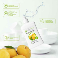 Гель для мытья посуды CLEAN HOME Манговый сорбет 500 мл 562