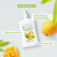 Гель для мытья посуды CLEAN HOME Манговый сорбет 500 мл 562