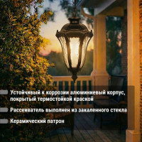 Светильник уличный TDM ELECTRIC "Вена" 60 Вт, подвес, алюминий, прозрачное/черный Е27 SQ0330-0205