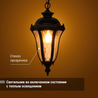 Светильник уличный TDM ELECTRIC "Вена" 60 Вт, подвес, алюминий, прозрачное/черный Е27 SQ0330-0205