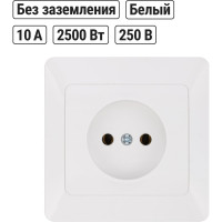 Розетка TDM ELECTRIC 2П 10А 250В белая Ильмень SQ1823-0009