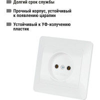 Розетка TDM ELECTRIC 2П 10А 250В белая Ильмень SQ1823-0009