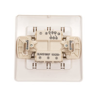 2-клавишный переключатель Systeme Electric BLANCA, С/У, cх.6+6, 10А, 250B, МОЛОЧНЫЙ BLNVS106602