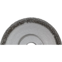 Диск абразивный для резины (50х6 мм; зерно SSG 230) NORM RH-300