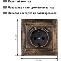 Розетка 2П+З 16А 250В + 2 USB порта 2,1А 5В TDM ELECTRIC старинная бронза, серия "Лама" SQ1815-0772
