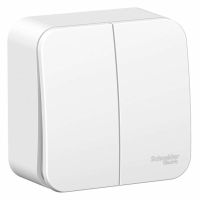 Двухклавишный выключатель Schneider Electric BLANCA BLNVA105001