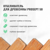 Отбеливатель для древесины PROSEPT 50 концентрат 1:1, 10 л 001-10