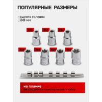 Набор головок Е-профиль (7 шт; 1/2"; E10/E12/E14/E16/E18/E20/E22) на планке Forsage F-4073(6389)