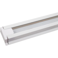 Шинопровод ЭРА TR6-R 2W-1 WH 1 метр 20/1120 Б0032170
