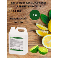 Концентрат для мытья полов HIRVI Wipe Clean с ароматом цитруса 5 л арт 337а733
