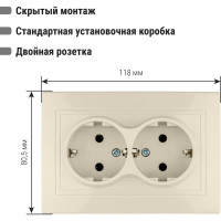 Двойная розетка, слоновая кость 2П+З 16А 250В TDM ELECTRIC Таймыр SQ1814-0114