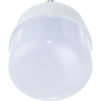 Универсальная высокомощная светодиодная лампа General Lighting Systems GLDEN-HPL-40-230-E27-6500, 40Вт, 3650лм, 230В, цоколь Е27, колба Т-форма (цилиндр), 6500К - холодный белый 660002