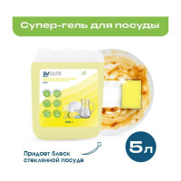 Средство для ручного мытья посуды EVOLITE ледяной лимон Биоль 315.5