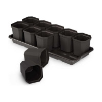 Набор для рассады ЗПИ «Альтернатива» 10 стаканов, подставка, 410x170x90 мм М1010