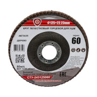 Круг лепестковый торцевой эконом Strong 125 60 сту-243125060