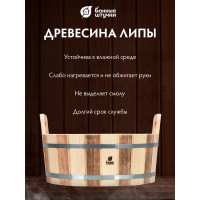 Ушат-шайка Банные Штучки С лёгким паром, 15 л, с пластиковой вставкой, липа, 31147