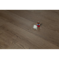 Виниловый пол Tarkett Funky House Click SPC Tom, 0.3 мм, 195x1220x3.85 мм 536843