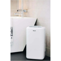 Осушитель воздуха с гигростатом и таймером Woods Швеция M10G