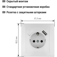 Розетка TDM ELECTRIC 2П+З с защитыми шторками 16А 250В + USB порт 2,1А 5В белая Таймыр SQ1814-0040