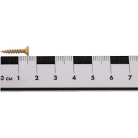 Конструкционный шуруп для дерева ЕВРОПАРТНЕР с фрезой, потайной, ж/п, Torx 10, 3,0x16 + бита, 600 шт. B3 0002