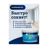 Колерованная краска Goodhim S D2 RAL 120 80 40, моющаяся, водно-дисперсионная, акриловая, 7 кг 52099