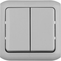 Выключатель Legrand двухклавишный Legrand Quteo IP44 10А 250В винтовые зажимы накладной монтаж серый 782332