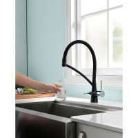 Смеситель для кухни Paulmark SIEGEN, черный Si213111-308