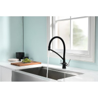 Смеситель для кухни Paulmark SIEGEN, черный Si213111-308