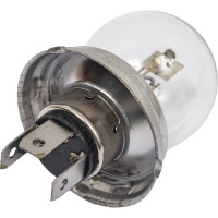 Автолампа SKYWAY G40 45/40W c цоколем P45t 2-конт СПУТНИК S09101015