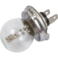 Автолампа SKYWAY G40 45/40W c цоколем P45t 2-конт СПУТНИК S09101015