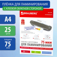 Пленки-заготовки для ламинирования на клеевой основе BRAUBERG А4, КОМПЛЕКТ 25 штук, 531798
