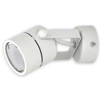 Накладной поворотный светильник truEnergy gu10 d50xh130 ip20 белый/металл 21344