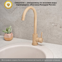 Смеситель для кухни РМС SUS124BNK-017F